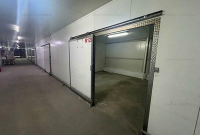 Spatii de depozitare 25 - 60 mp: produse BACANIE - Norme DSV - 1