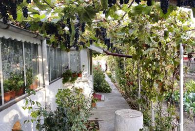 Casă cu 4 camere în Chilia Veche - 8