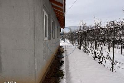 Casă cu 4 camere în Arcalia - 7