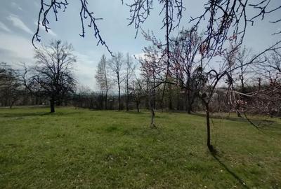 Teren de 6800 mp, în Șișești - 3