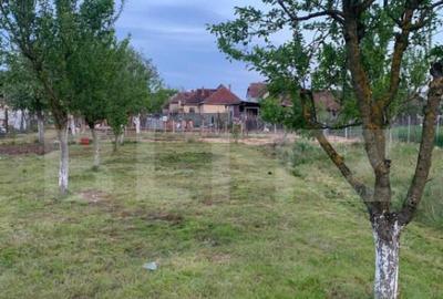 Teren intravilan 1500mp , zona Cionchesti - 19