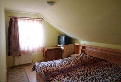 Teren cu potential dezvoltare multiple - IMOBIHOR - 3