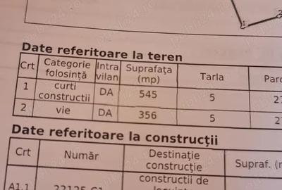 Casa de vanzare Mizil Conduratu - 1