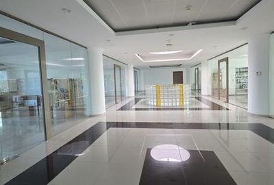 Splaiu Unirii teren 5000 mp Imobil S+P+5 Showroom, Clinica , Birouri , Hotel - 7