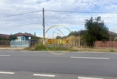 Teren Construcții intravilan de 3905 mp, în Manasia - 1