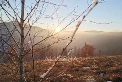 OPORTUNITATE | Teren intravilan | 34.625 mp | Plopi - Valea Ierii - 9