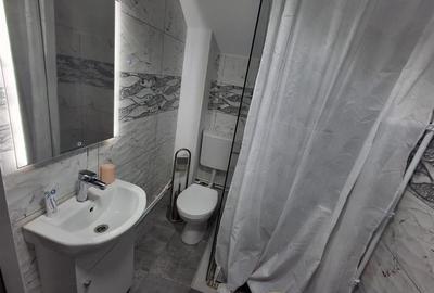 Casa individuala 3 camere 2 bai curte si garaj - zona Talmaciu - 12