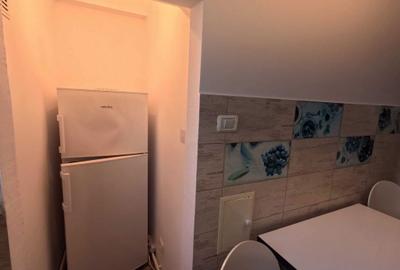 Apartament cu 2 camere decomandat în Drumul Carului - 3