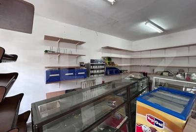 Spațiu comercial, de 75 mp, în George Enescu