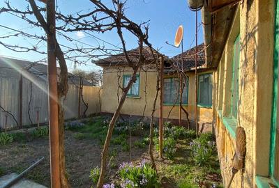 Casă cu 3 camere în Turnu - 1