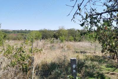 Vand teren cu casa intavilan Curtisoara jud Olt - 6