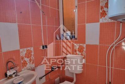 Casa individuala situata in zona Mehala - 3