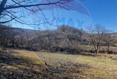 Teren de 4985 mp, în Sascut - 5