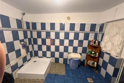 Casa + teren intravilan zona Mihailesti - 8