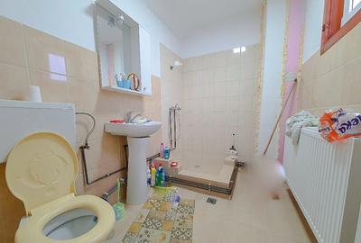 Casa Costesti Arges - 14