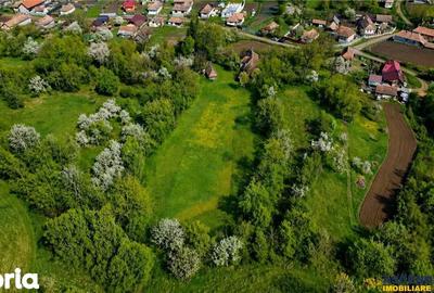 Casă cu 2 camere cu Teren 3400 Mp în Acățari - 6