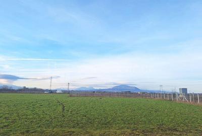 Teren de 5435 mp, în Hălchiu - 3