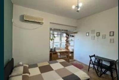 Armeneasca,bl.reabilitat,Amenajata,centrala,mobilata,Libera - 1