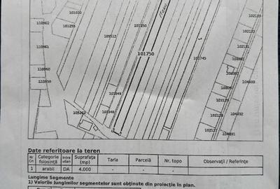 Teren de 4000 mp, în Cărpiniș - 2