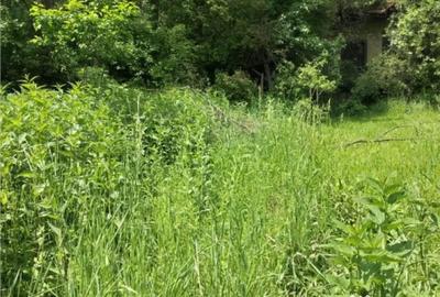 Casă cu 2 camere în Vâlcele - 6