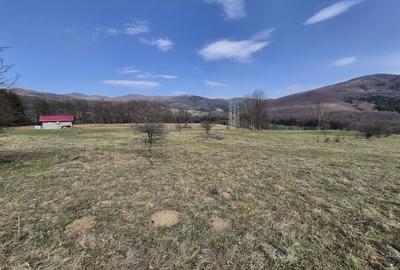 Teren intravilan la baza pădurii Valea Doftanei sat Traisteni (poduri) - 1