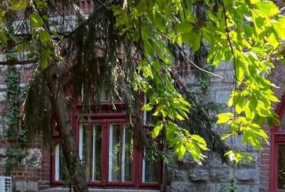 Parter in vila interbelica .Terasa.Gradina. Loc de parcare in curte