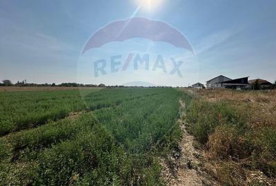 Teren Intravilan parcelat de vanzare Zona Bujac - 2