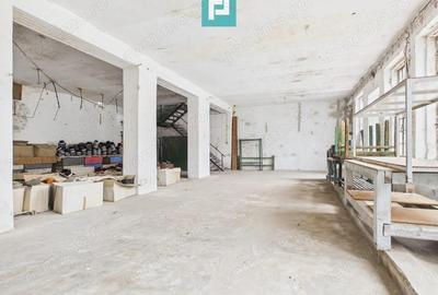 Spa?iu de investi?ii 500 mp in Periam - 1