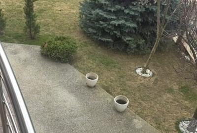 Casă individuală cu 6 camere în Bucium - 2