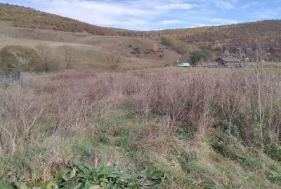 Spațiu comercial, în Sălicea - 4