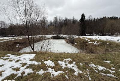 Teren de 3600 mp, în Horodnic - 11