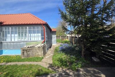 Casă cu 5 camere cu Teren 2000 Mp în Rădăuți-Prut - 8