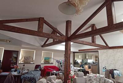 Vanzare spatiu productie 800 mp  D+P+Et1+M zona Rahova Bucuresti sector 5 - 26