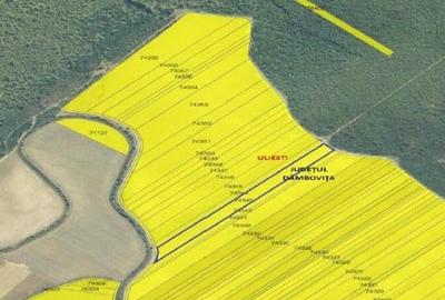 Teren extgravilan agricol Uliesti, ID: R2263433 - 5