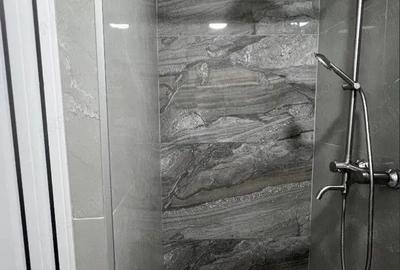 Apartament cu o camera de inchiriat in zona Aradului - 2