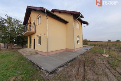 Casa cu 5 camere, 236 mp, teren 5805 mp, Brestea - Denta - 13