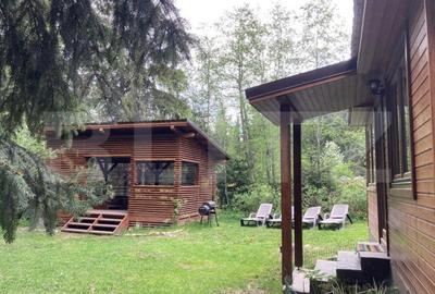 Cabana  cu teren 1364mp, zona Bucin - 5