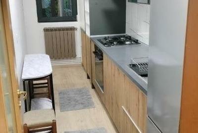 Apartament 2 camere de inchiriat in zona Afi Drumul Taberei - 4