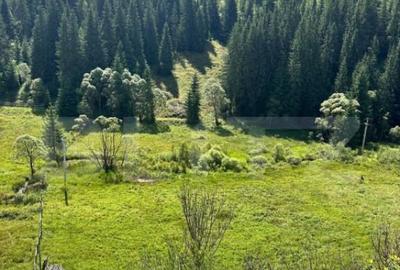 Teren intravilan de vanzare, 6941 mp, zona Mestecani? - 2