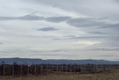 Terenuri extravilan  | 1000 mp, 2000 mp  | Valea Avrigului - 3