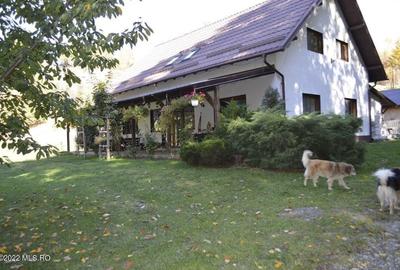 Topoloveni - Conacul Ion Mihalache, Domeniu pe 5 Hectare - 6