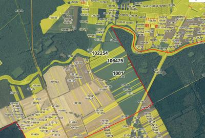 Teren Construcții extravilan de 28000 mp, în Snagov - 3