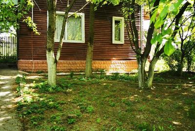 Com. Ileana - Calarasi, 4000 mp. teren si casa de vacanta cu deschidere la Balta - 7