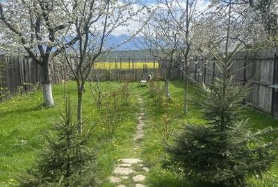 Casă cu 3 camere cu Teren 73 Mp în Plaiul Foii - 6