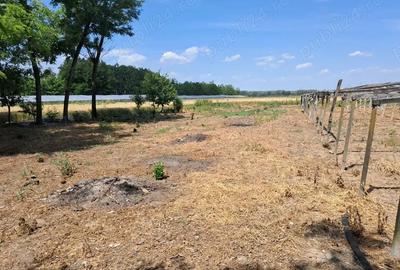 Casă cu 5 camere cu Teren 2636 Mp în Gherghița - 3