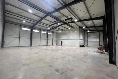 Vanzare Hala noua Chiajna - 1