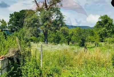 Casă individuală cu 3 camere cu Canalizare în Câmpulung la Tisa - 10