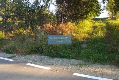 Teren intravilan 2.500 mp – Vieru, Giurgiu - 3