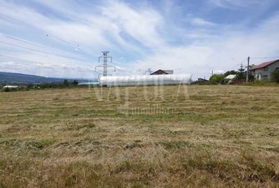 Teren extravilan industrial de inchiriat in Iris, Cluj Napoca - 3