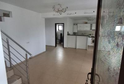 CASA LA CHEIE ! GATA DE MUTARE - 4